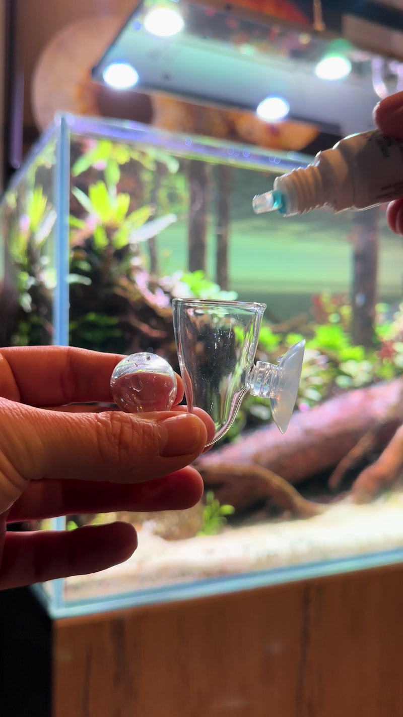 TikTok video by @aquascaping.passion