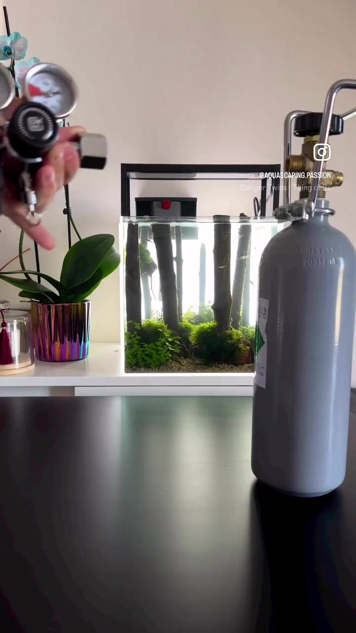 TikTok video by @aquascaping.passion