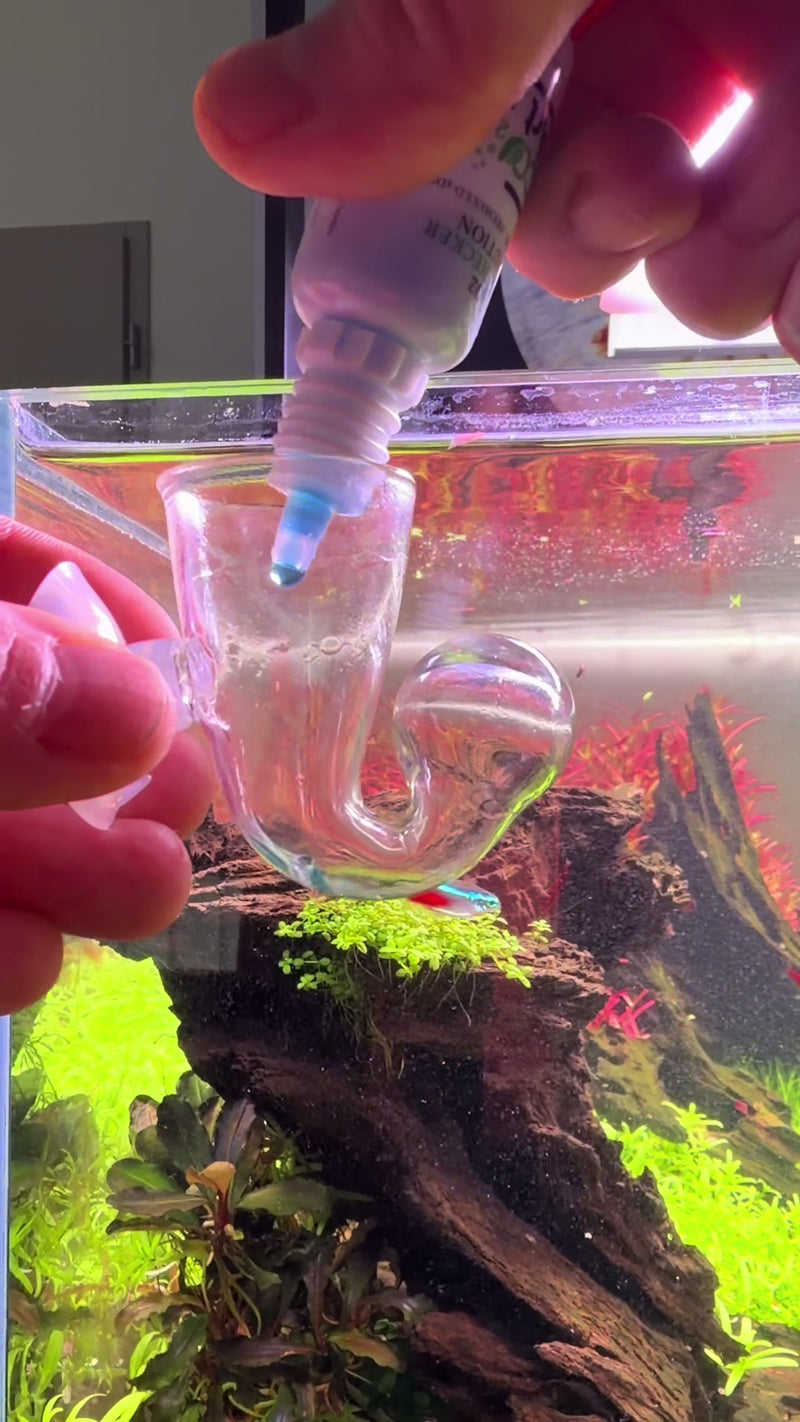 TikTok video by @aquascaping.passion